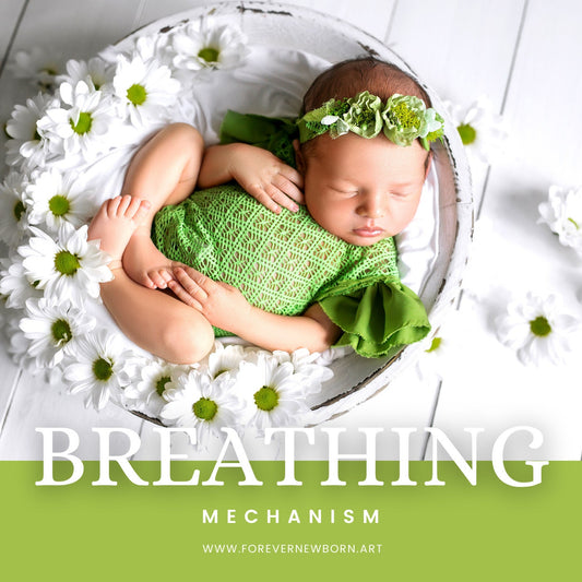 Reborn Baby Add A Breathing Mechanism To Your Reborn *Must Be Purchased WITH A Custom Doll **Upgrade Items. *Add-On Item