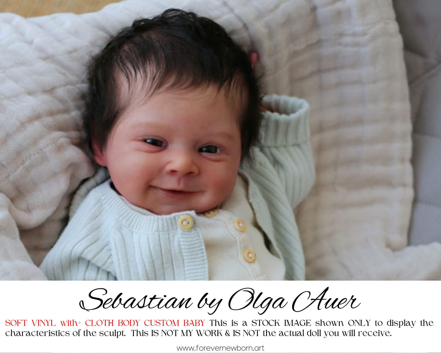 Reborn Baby **Hyper-Realistic** Reborn Doll Sebastian by Olga Auer (20"+Full Limbs)