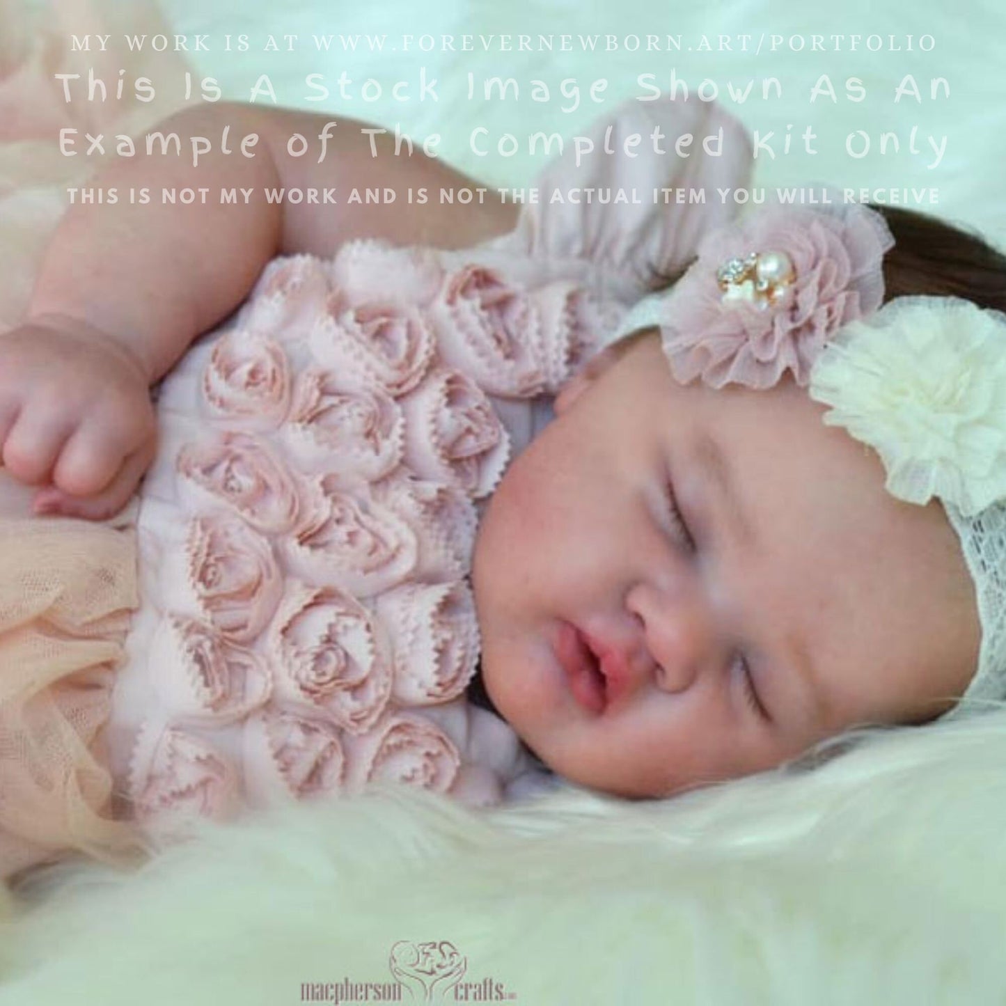Reborn Baby **Hyper-Realistic** Reborn Doll Ashia by Laura Lee Eagles (20"+Full Limbs)
