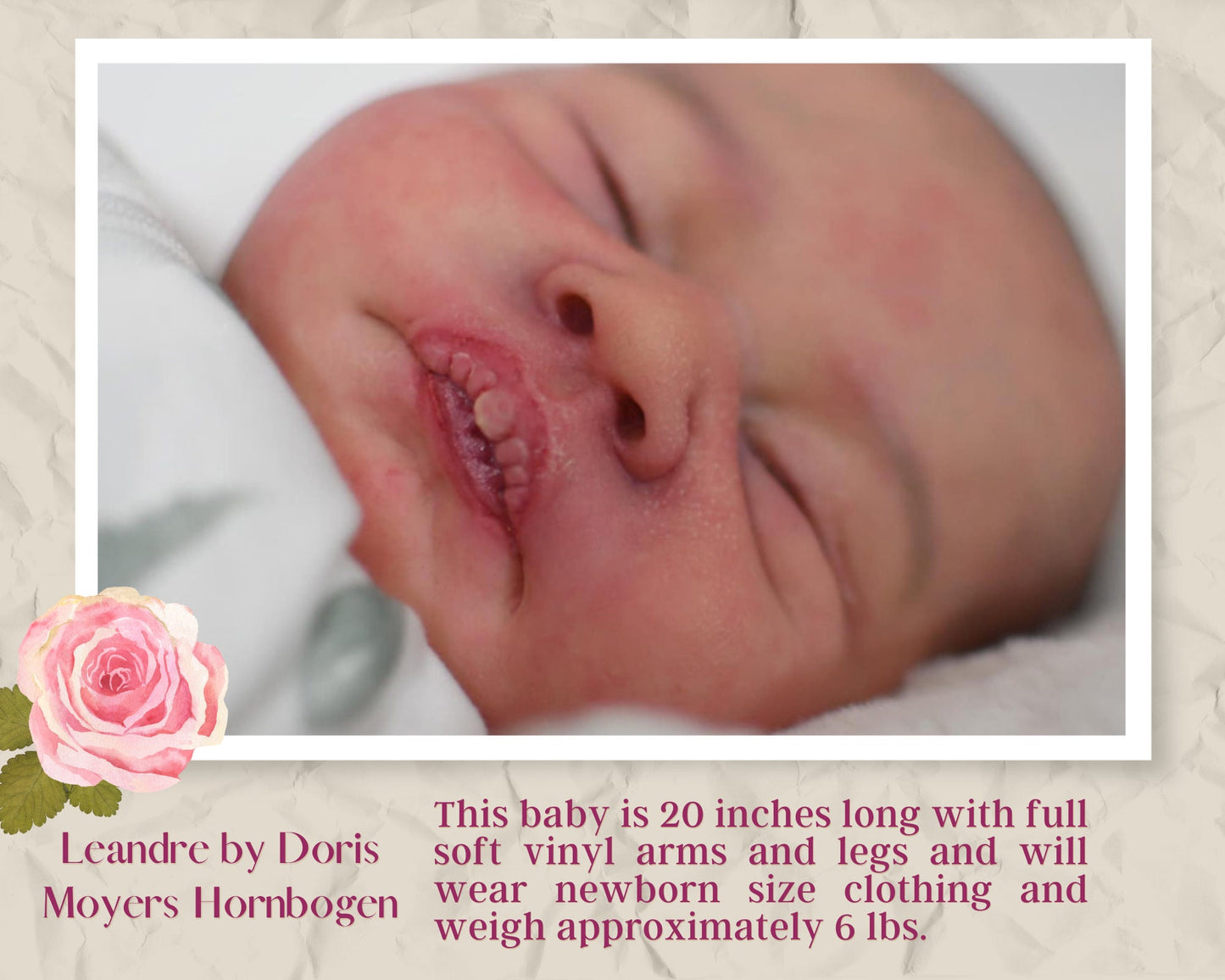 Amazing Hyper-Realistic Reborn Custom Doll Leandre by Doris Moyers Hornbogen (20"+Full Limbs)