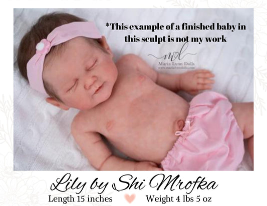 Custom FULL-BODY SILICONE Lily by Shi Mrofka (18 inches 4 lbs 5 oz) *includes pictures of my own work in silicone.