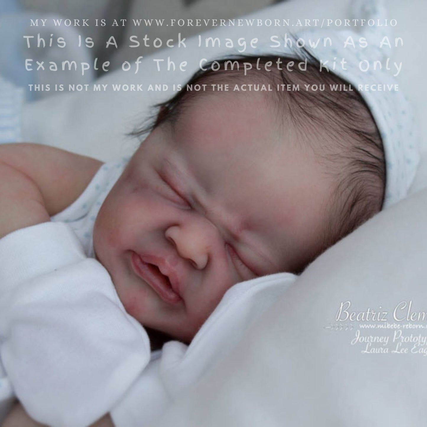Journey By Laura Lee Eagles (19"+Full Limbs)