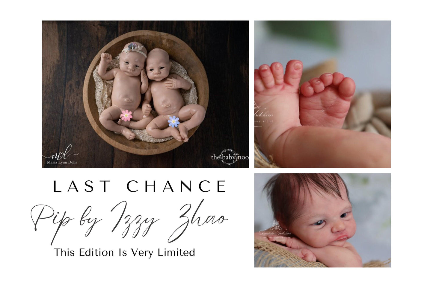 Pip by Izzy Zhao (16.5 inches 5lbs 6 oz) *Listing Images include pictures of my own work.