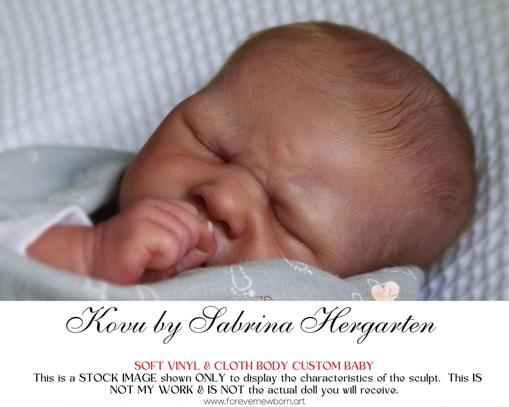 Amazing Hyper-Realistic Reborn Custom Doll Kovu by Sabrina Hergarten (18"+ Full Limbs)