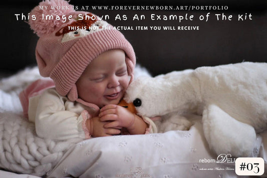 Reborn Baby **Hyper-Realistic** Reborn Doll BRAND NEW! **Sammy by Ann Timmerman (21"+Full Limbs)