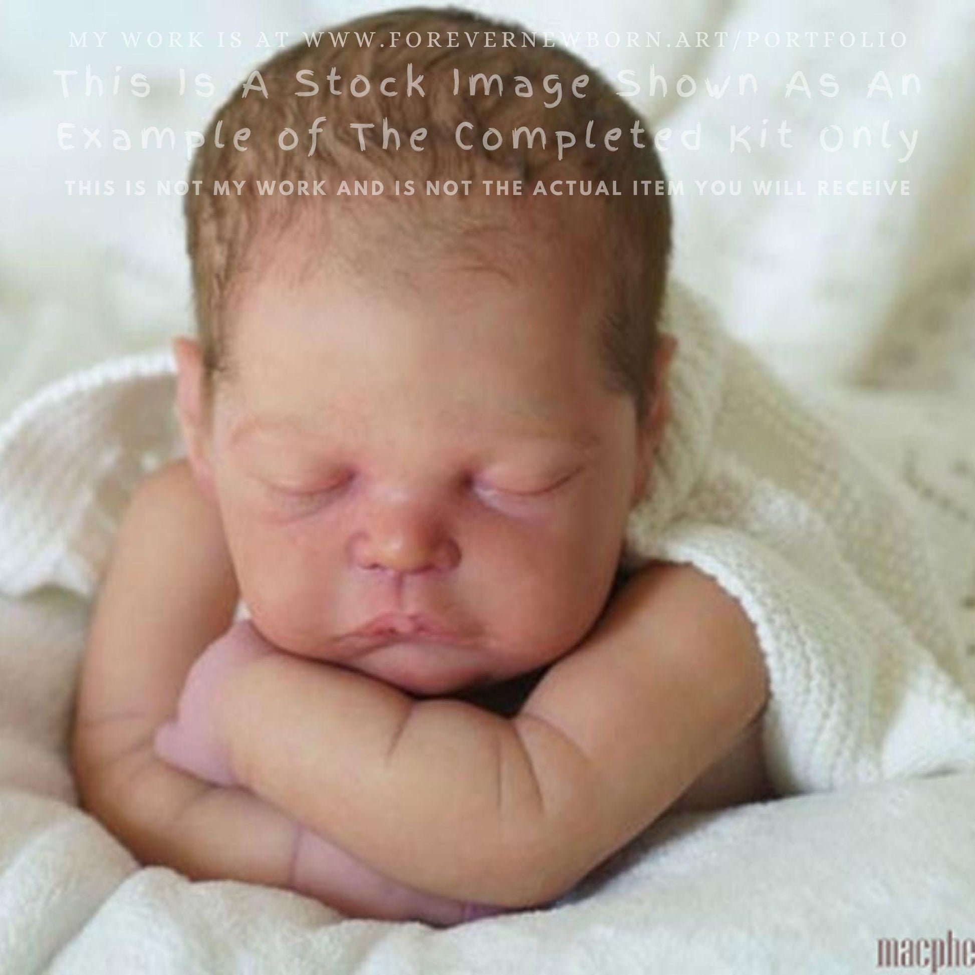 Reborn Baby **Hyper-Realistic** Reborn Doll Cecily by Adrie Stoete (19" Full Limbs)