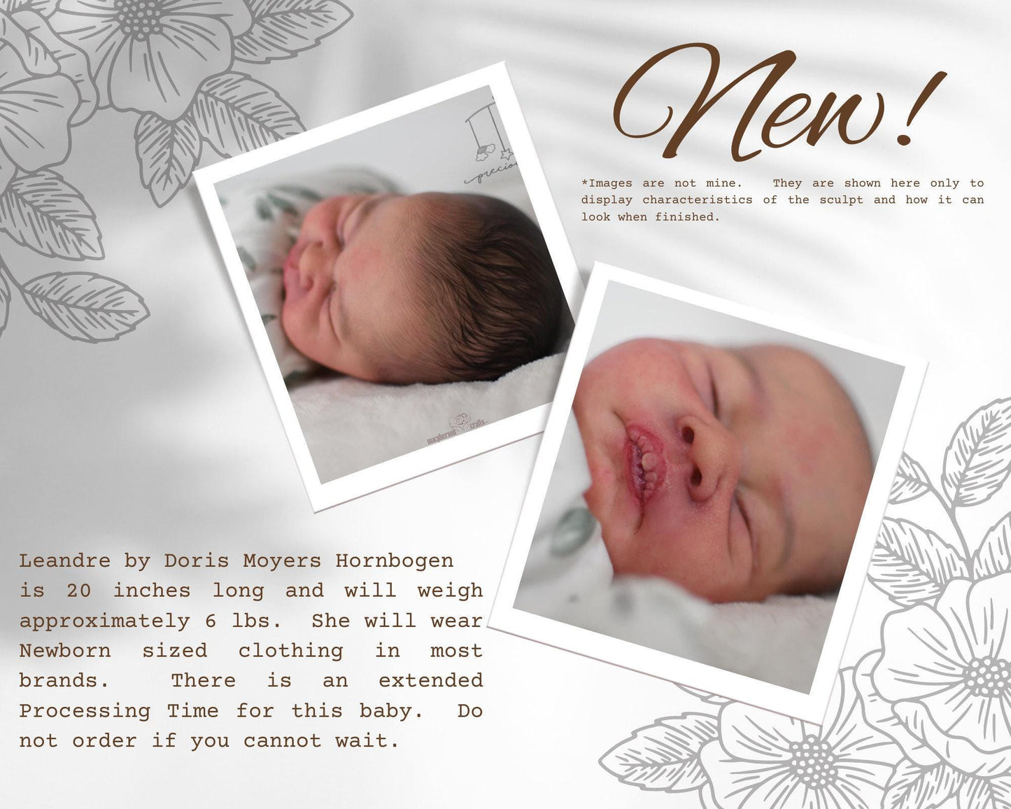 Amazing Hyper-Realistic Reborn Custom Doll Leandre by Doris Moyers Hornbogen (20"+Full Limbs)