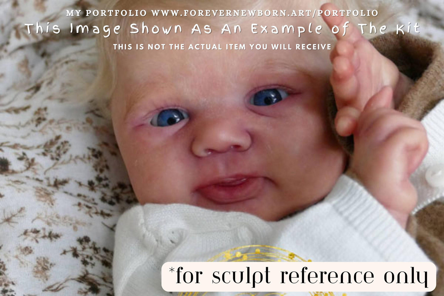 Reborn Baby **Hyper-Realistic** Reborn Doll Bo by Sandy Faber 18" Full Limbs
