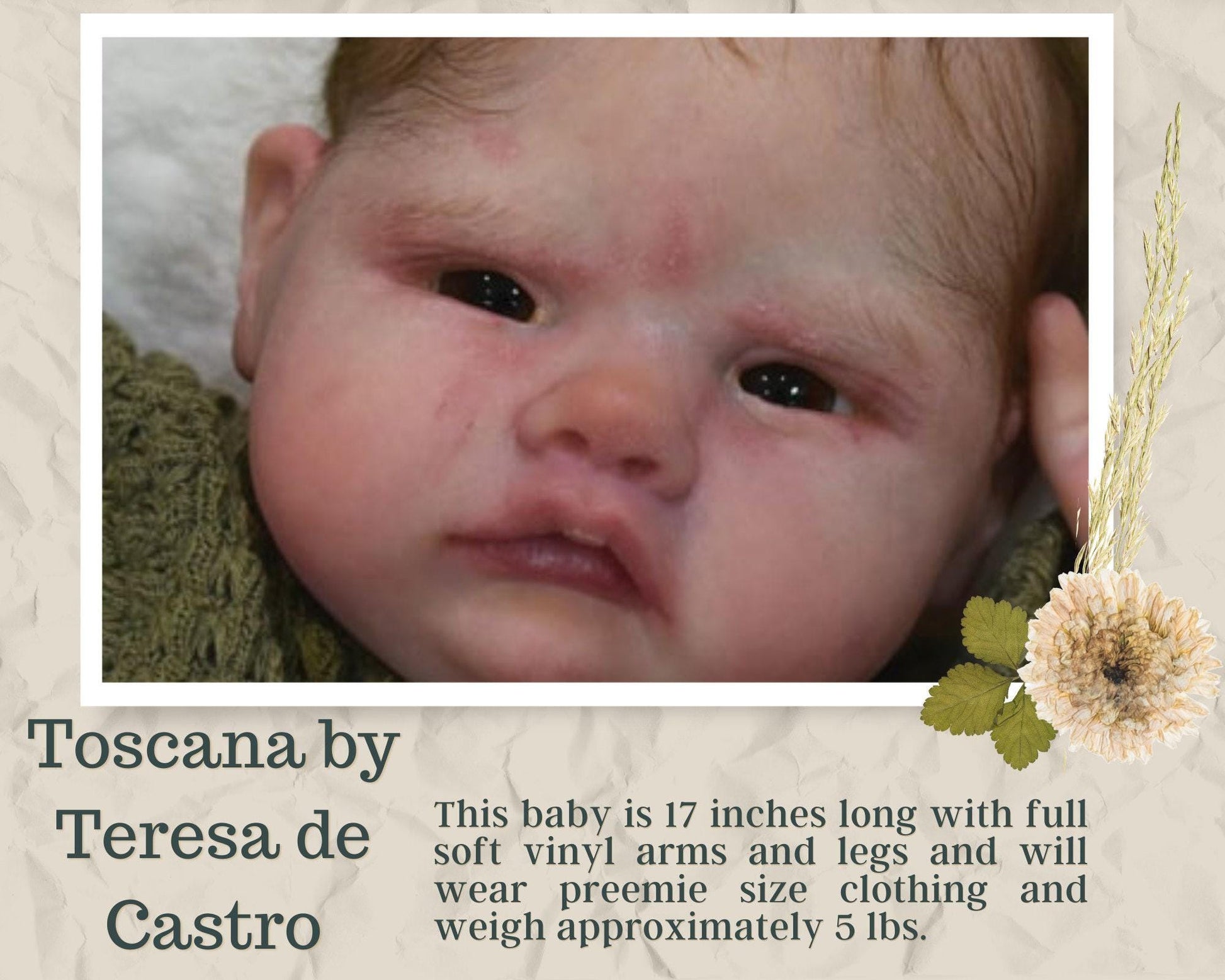 Attention Reborn Baby Collectors ~ Custom Tuscany by Teresa de Castro (17"+Full Limbs)