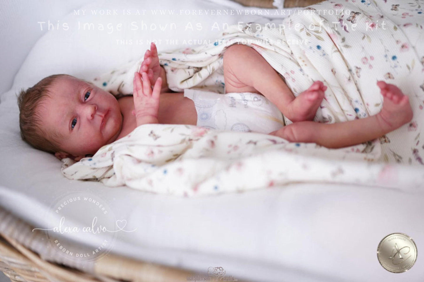 Lifelike Reborn Doll Melissa by Viviane Aleluia 18" Full Limbs