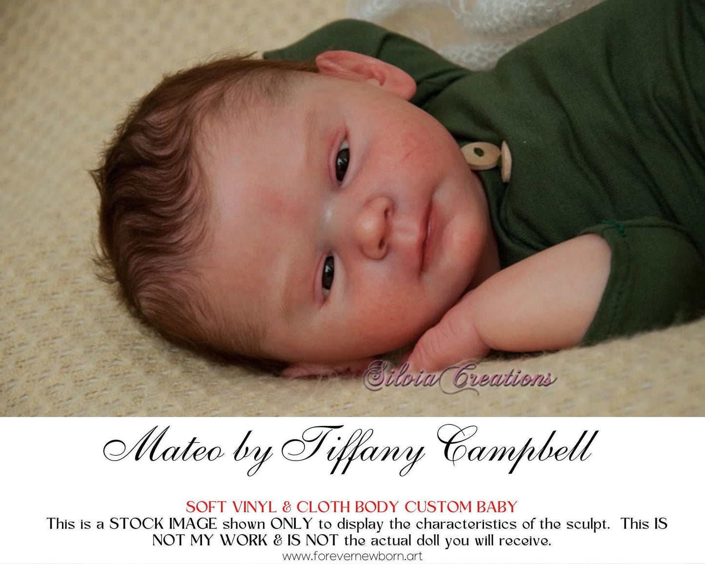Lifelike Reborn Doll Mateo by Tiffany Campbell (20" + Full Limbs)