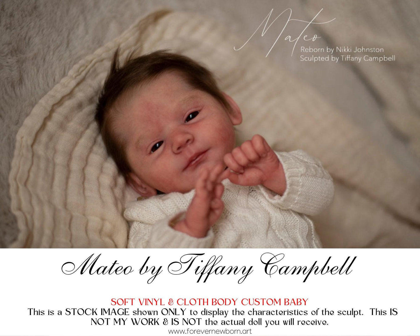 Lifelike Reborn Doll Mateo by Tiffany Campbell (20" + Full Limbs)