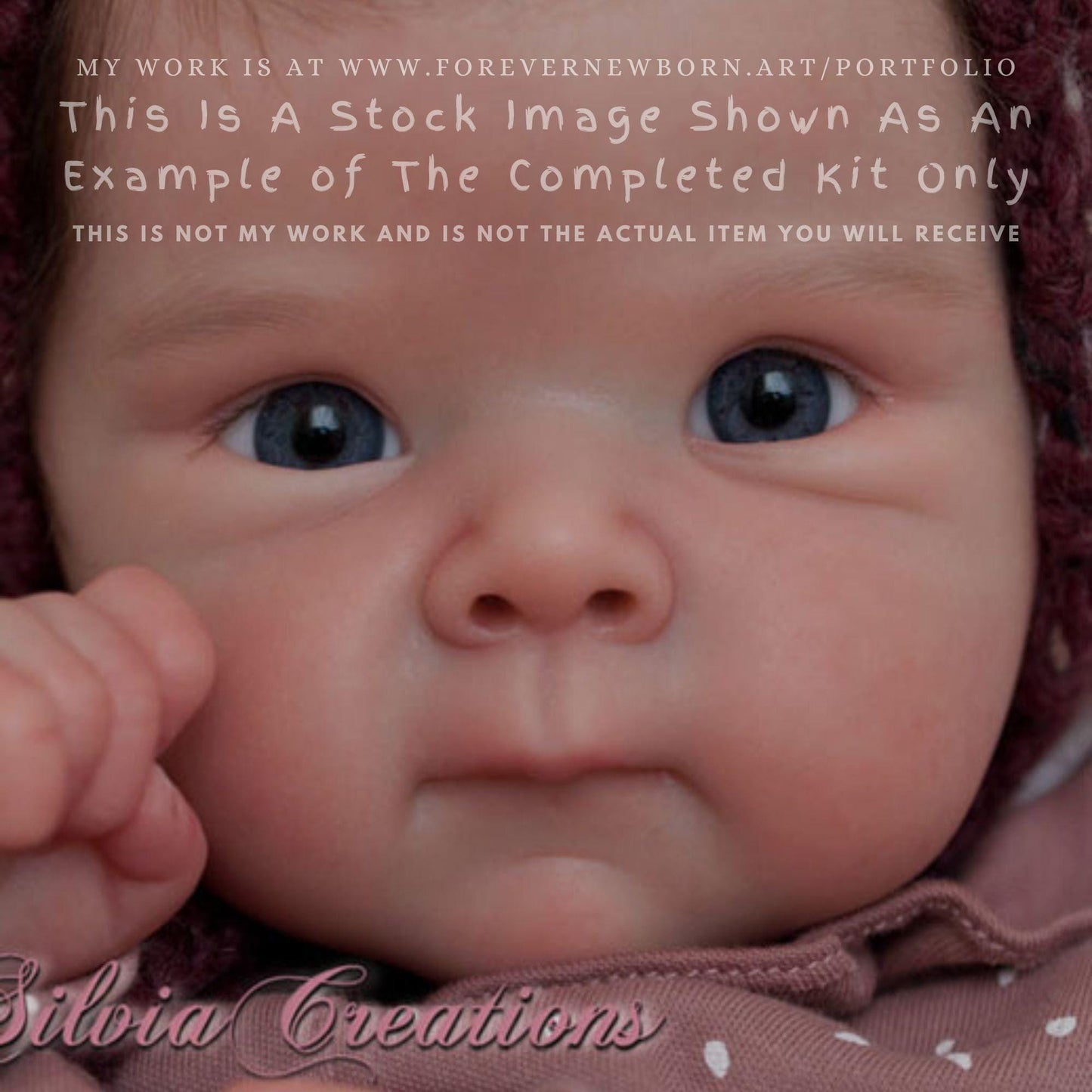 Reborn Baby **Hyper-Realistic** Reborn Doll Bettie By Adrie Stoete (19"+Full Limbs)