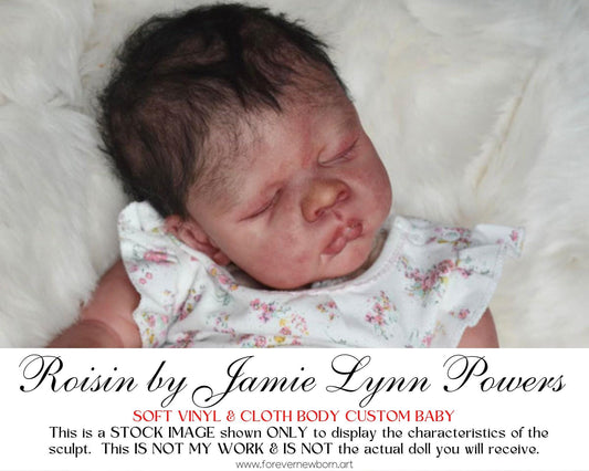 Reborn Baby **Hyper-Realistic** Reborn Doll Roisin by Jamie Lynn Powers (18"+ Full Limbs)