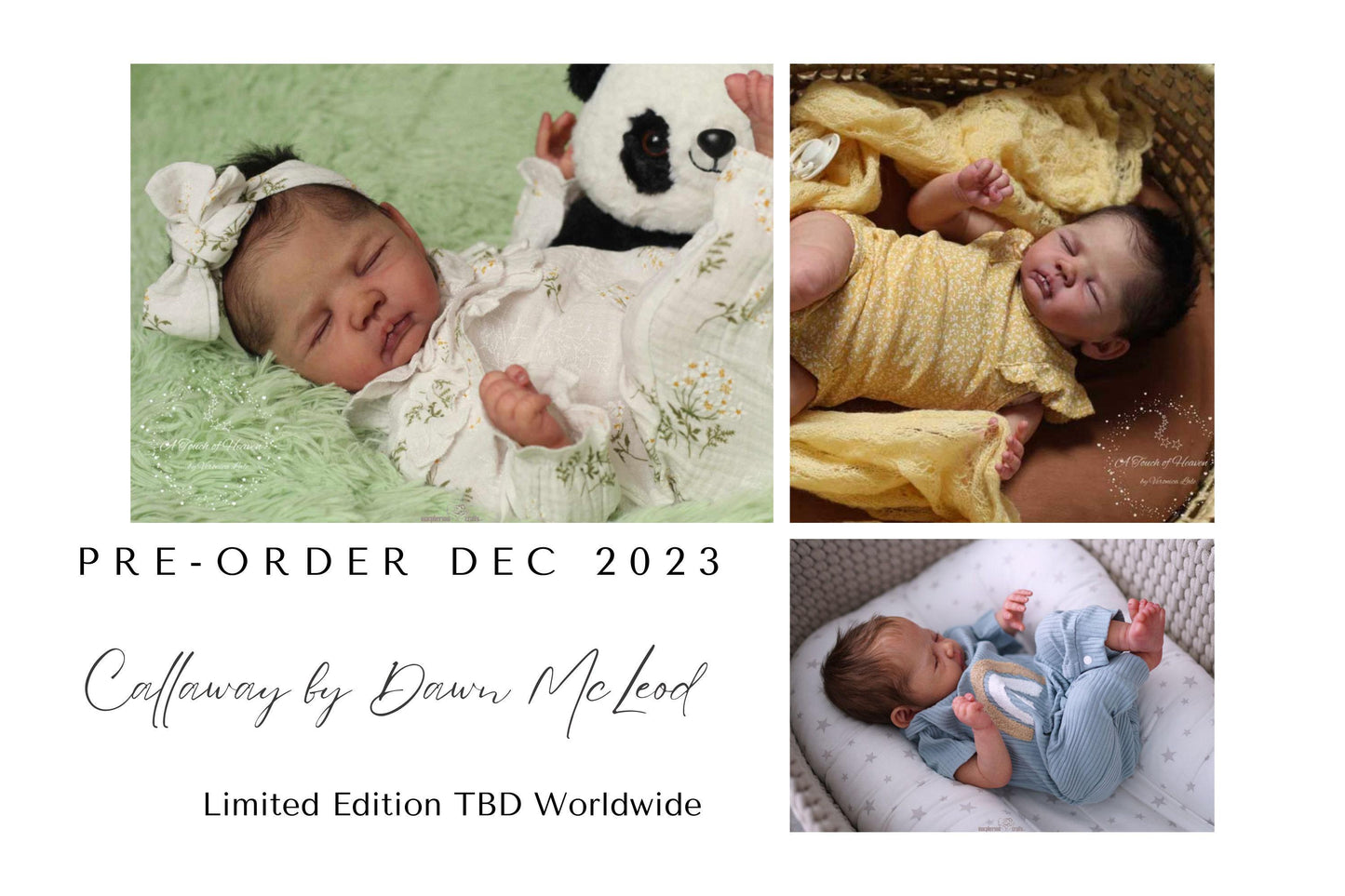 Reborn Baby **Hyper-Realistic** Reborn Doll Callaway by Dawn McLeod 19" Full Limbs