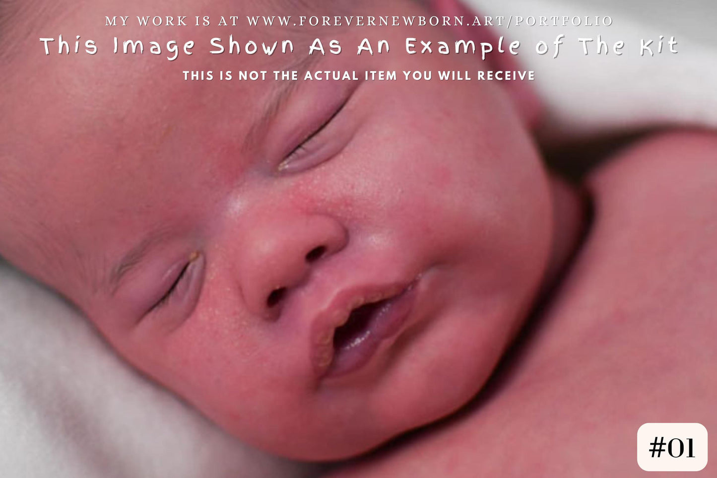 Extremely Realistic Reborn Baby Doll ~ CuStOm ReBoRn Primrose asleep by Laura Lee Eagles (18"+Full Limbs)