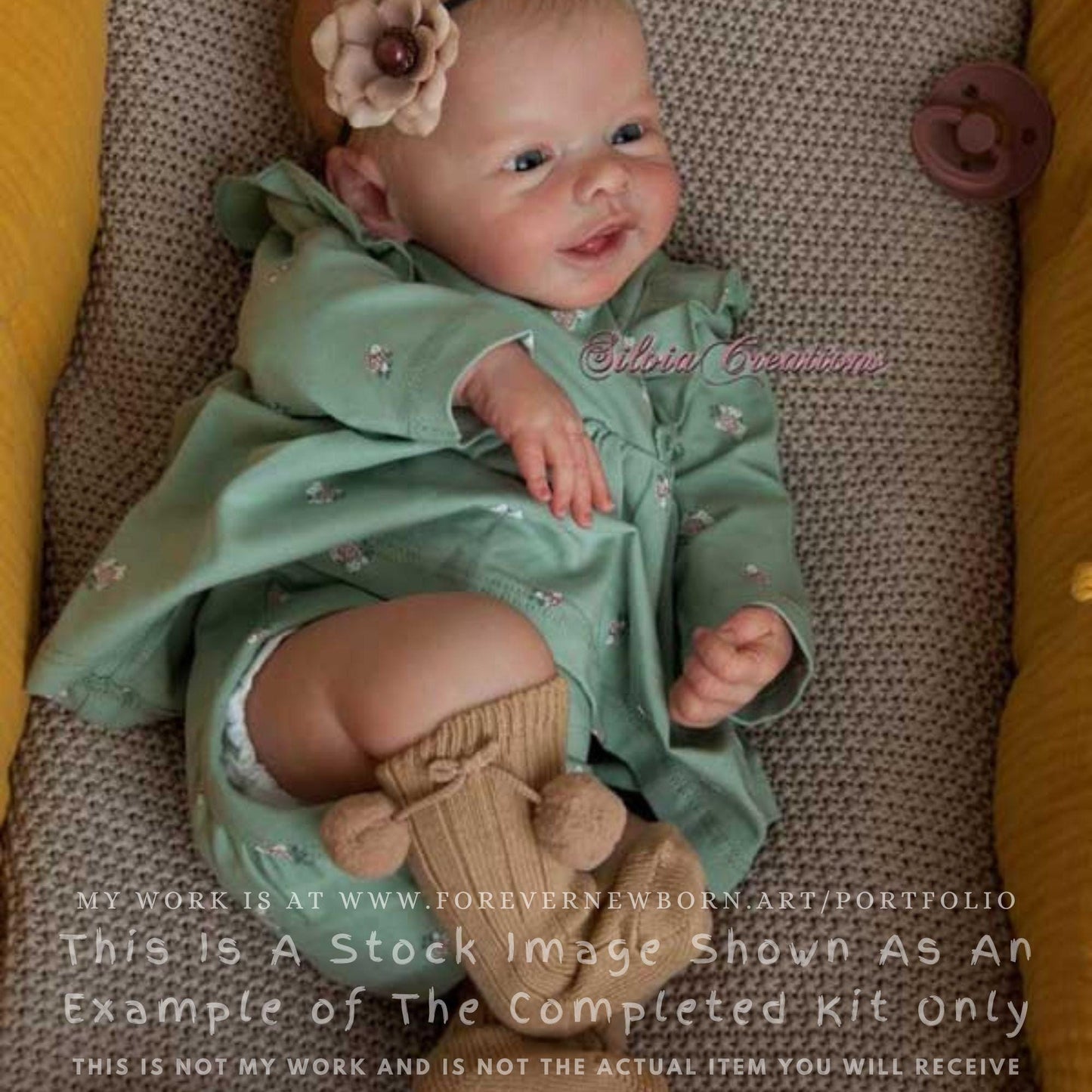 Reborn Baby **Hyper-Realistic** Reborn Doll Blossom by Andrea Arcello (17"+Full Limbs)