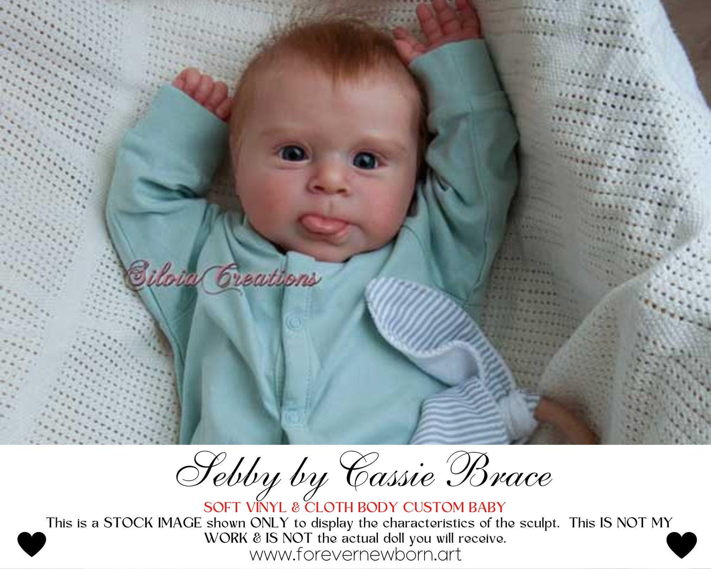 Reborn Baby **Hyper-Realistic** Reborn Doll Sebby by Cassie Brace (20"+ Full Limbs)