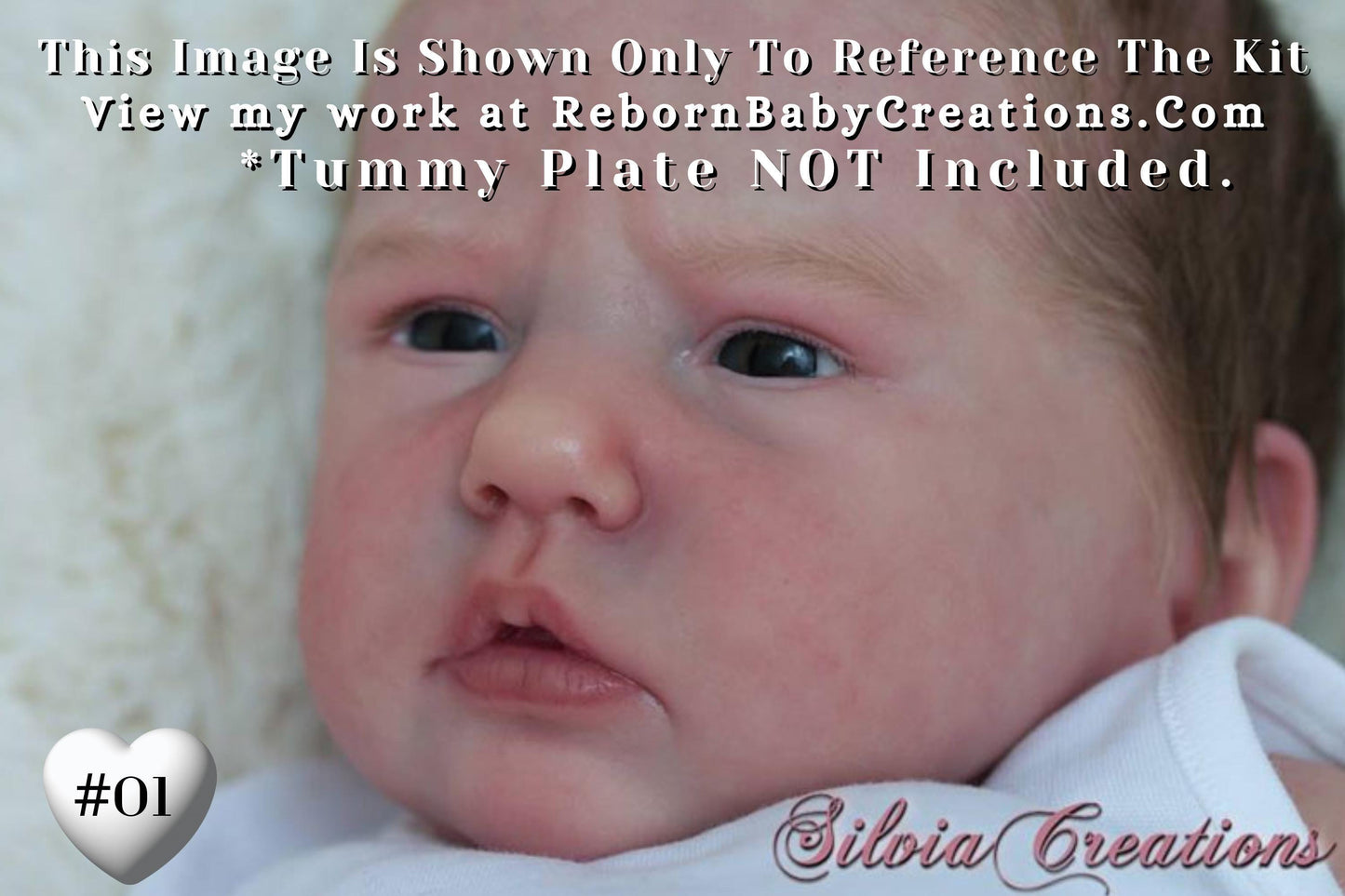 Amazing Hyper-Realistic Reborn Custom Doll LE Ellie-Sue by Bonnie Brown (19"+Full Limbs)