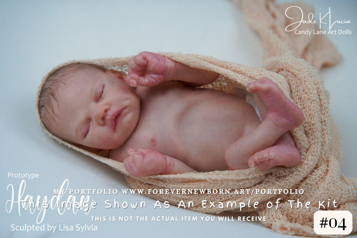 Extremely Realistic Reborn Baby Doll ~ Reborn Baby **Hyper-Realistic** Reborn Doll Haydan by Lisa Sylvia (16"+Full Limbs)