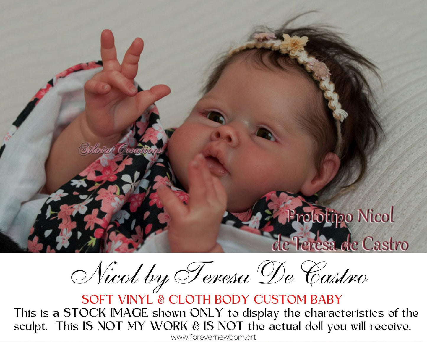 Lifelike Reborn Doll Nicol by Teresa De Castro (19"+ Full Limbs)