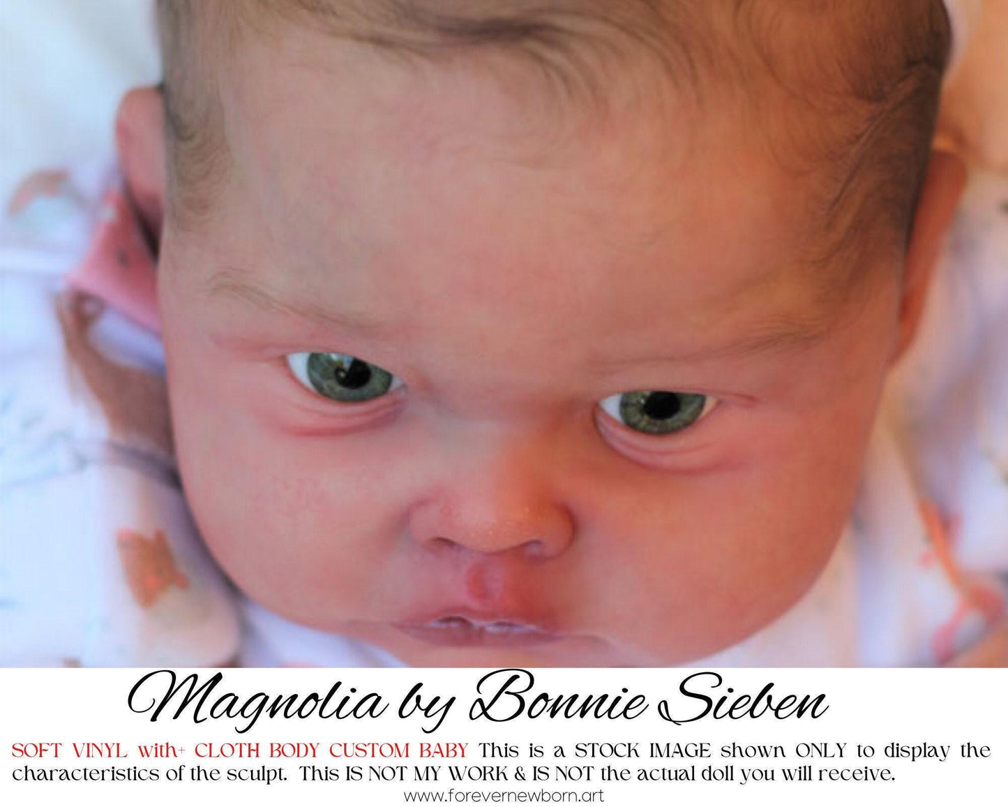 ECONOMY REBORN Reborn Magnolia by Bonnie Sieben (19" Full Limbs)