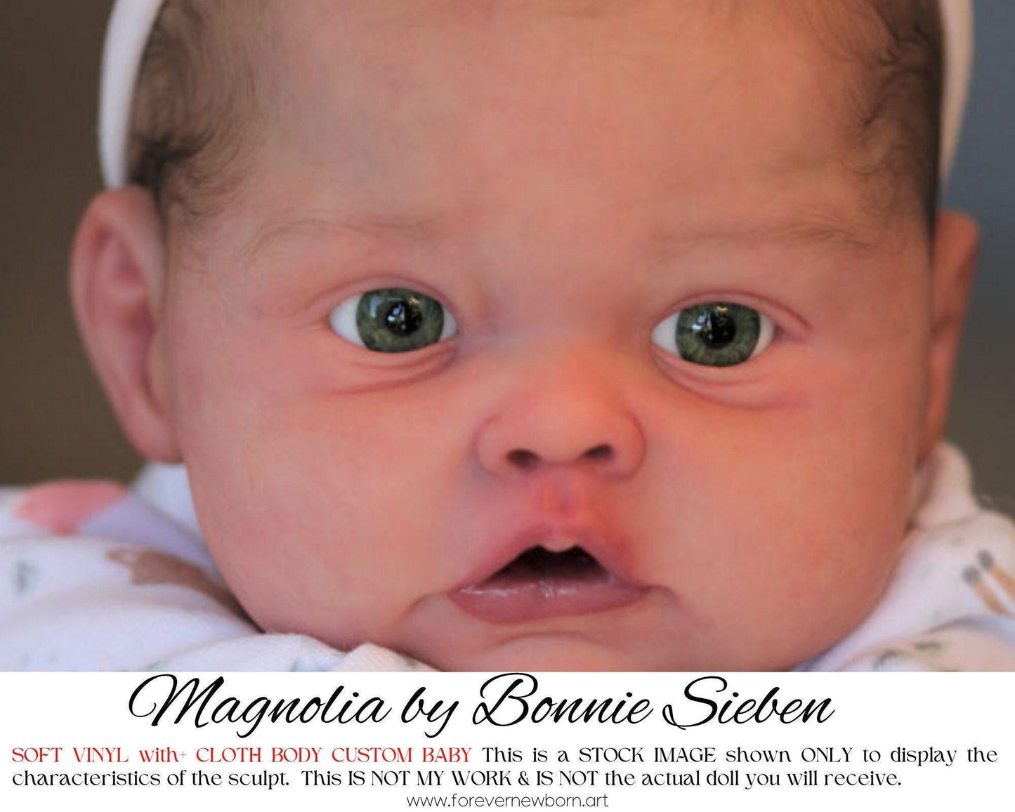 ECONOMY REBORN Reborn Magnolia by Bonnie Sieben (19" Full Limbs)