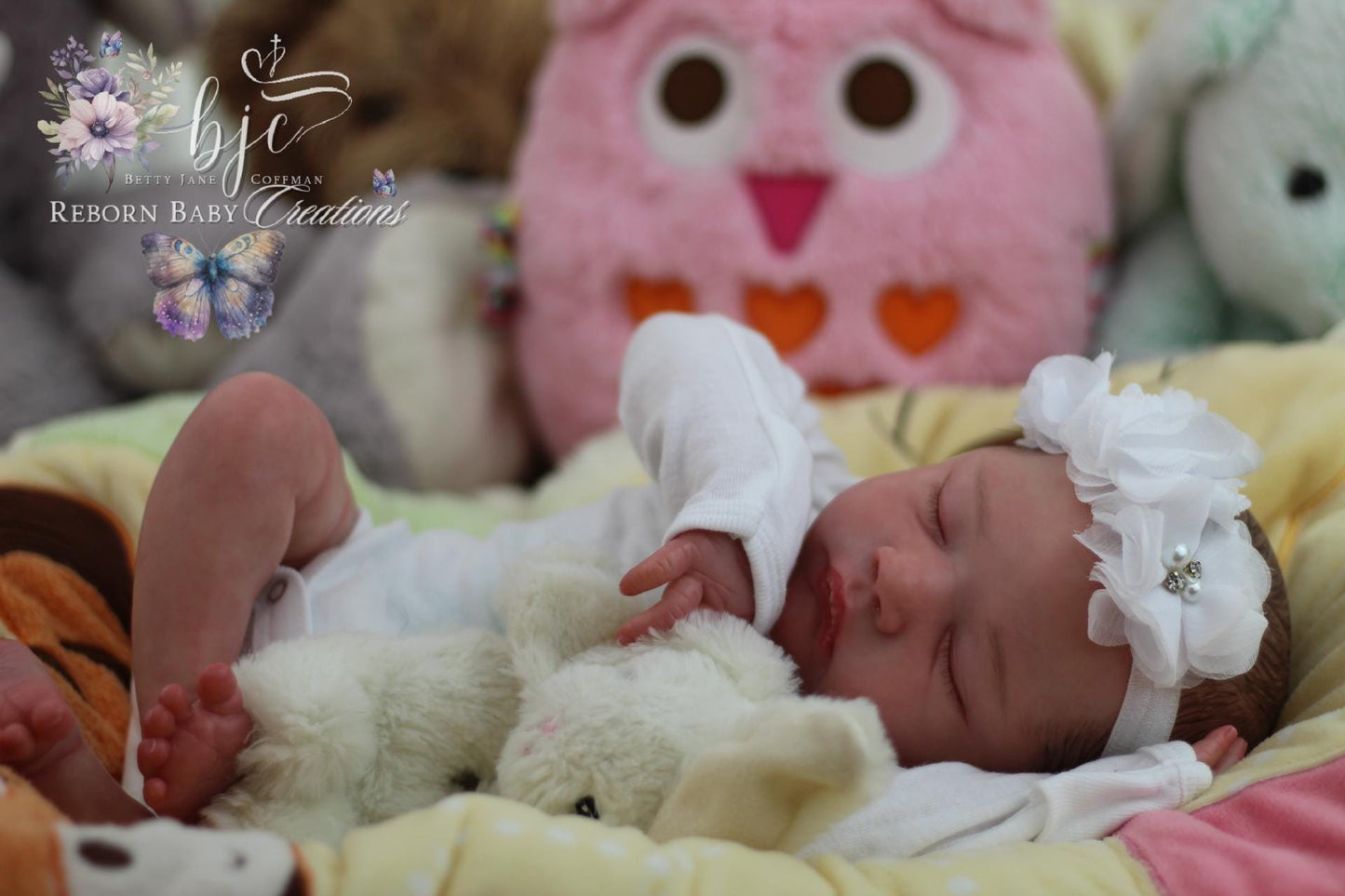 Ready To Ship Reborn Baby. Hyper-Realistic Alessandro by Cassie Ann Love.