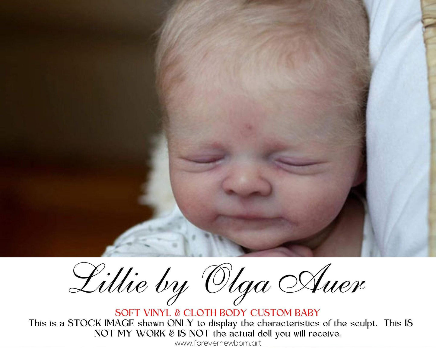 Amazing Hyper-Realistic Reborn Custom Doll LE Reborn BaBy Lillie by Olga Auer (19" + Full Limbs)