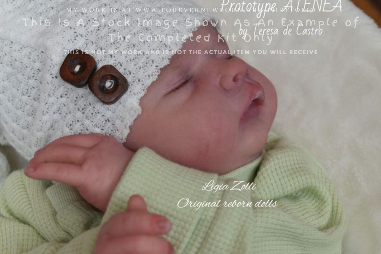 Reborn Baby **Hyper-Realistic** Reborn Doll Atenea by Teresa de Castro 18" Full Limbs