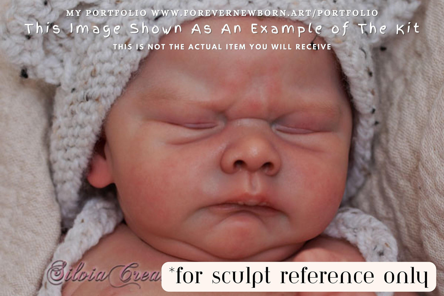 Amazing Hyper-Realistic Reborn Custom Doll Kori by Doris Moyers Hornbogen 19" Full Limbs