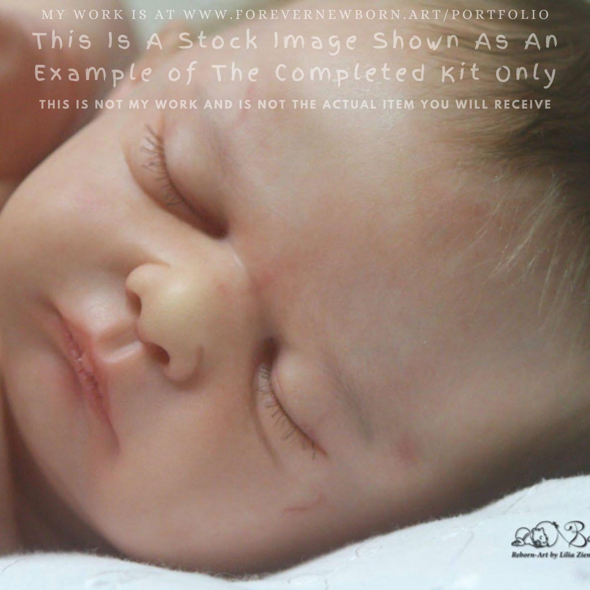 Reborn Baby **Hyper-Realistic** Reborn Doll Demi By Phil Donnelly (20"+Full Limbs)