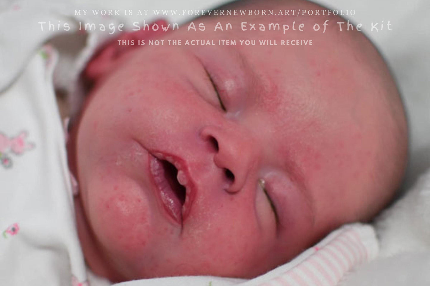 Lifelike Reborn Doll Milan by Melanie Gebhardt 19" Full Limbs