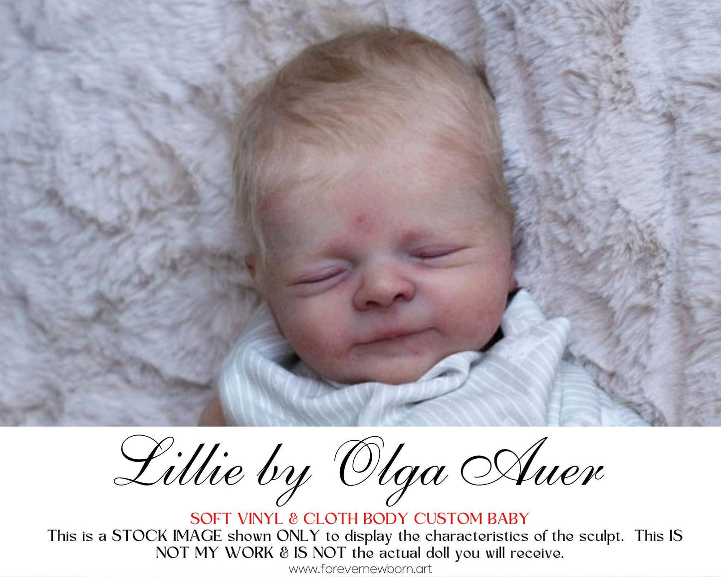 Amazing Hyper-Realistic Reborn Custom Doll LE Reborn BaBy Lillie by Olga Auer (19" + Full Limbs)