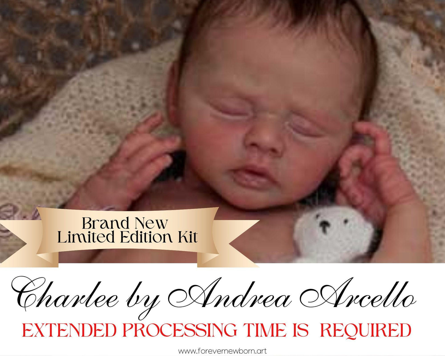 Reborn Baby **Hyper-Realistic** Reborn Doll Charlee by Andrea Arcello (19" + Full Limbs)