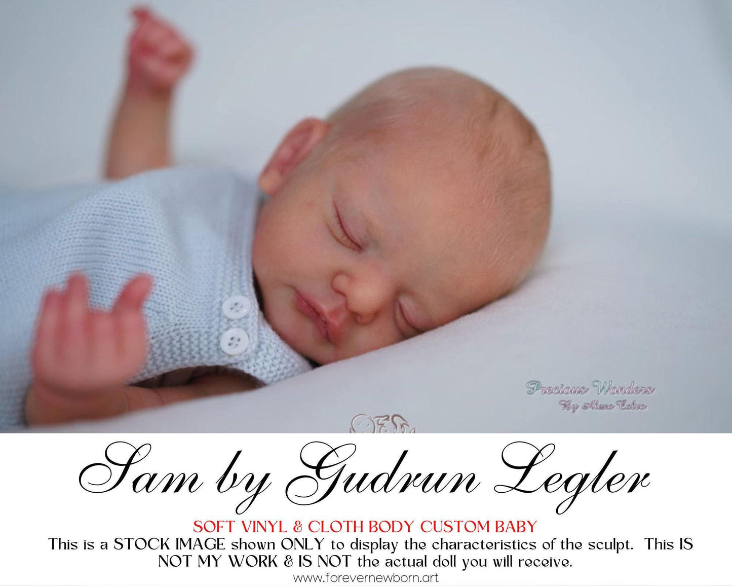 Reborn Baby **Hyper-Realistic** Reborn Doll Sam by Gudrun Legler (19"+Full Limbs)