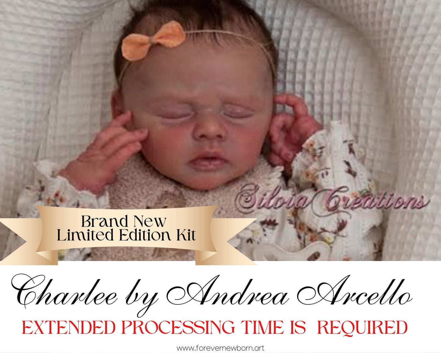 Reborn Baby **Hyper-Realistic** Reborn Doll Charlee by Andrea Arcello (19" + Full Limbs)