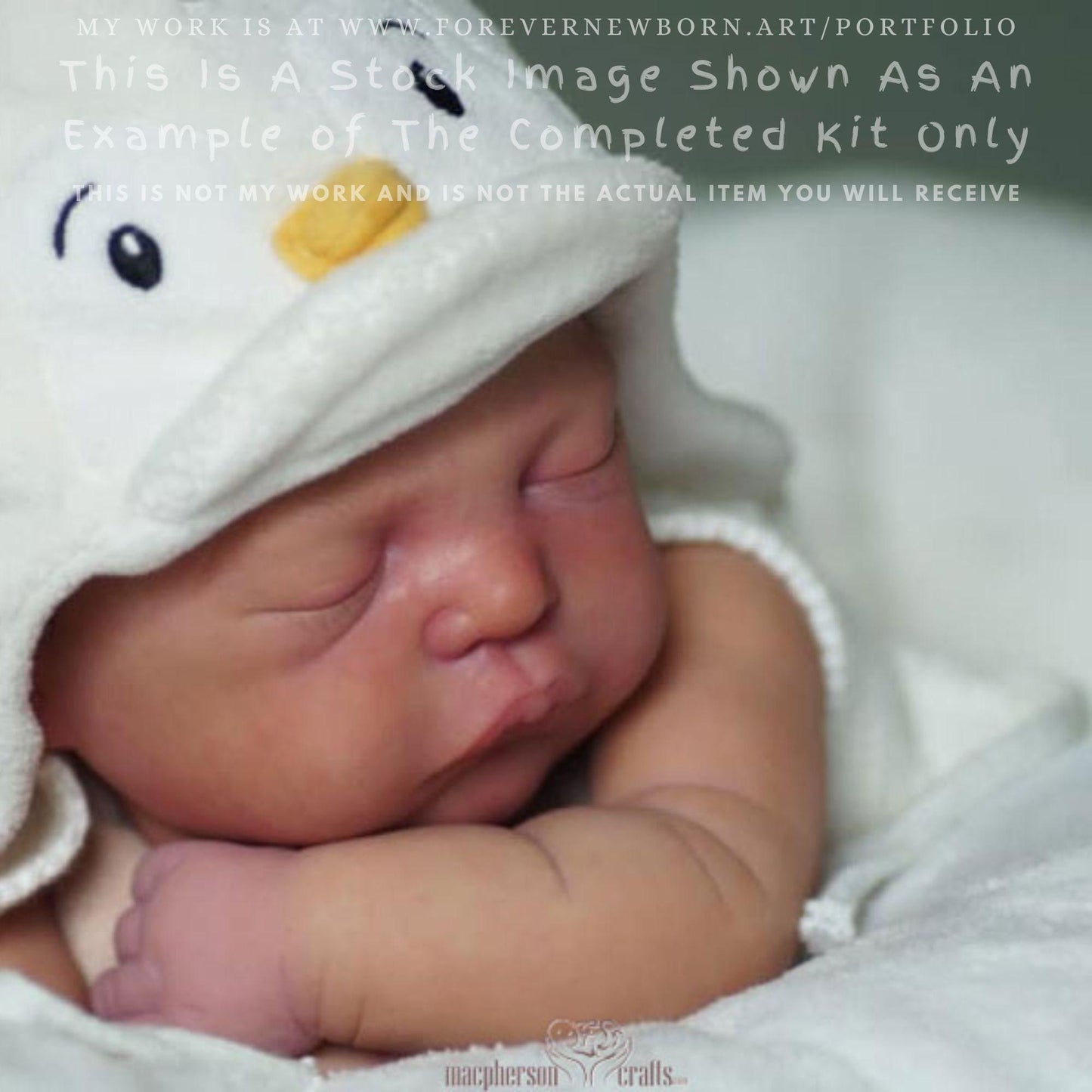 Reborn Baby **Hyper-Realistic** Reborn Doll Cecily by Adrie Stoete (19" Full Limbs)