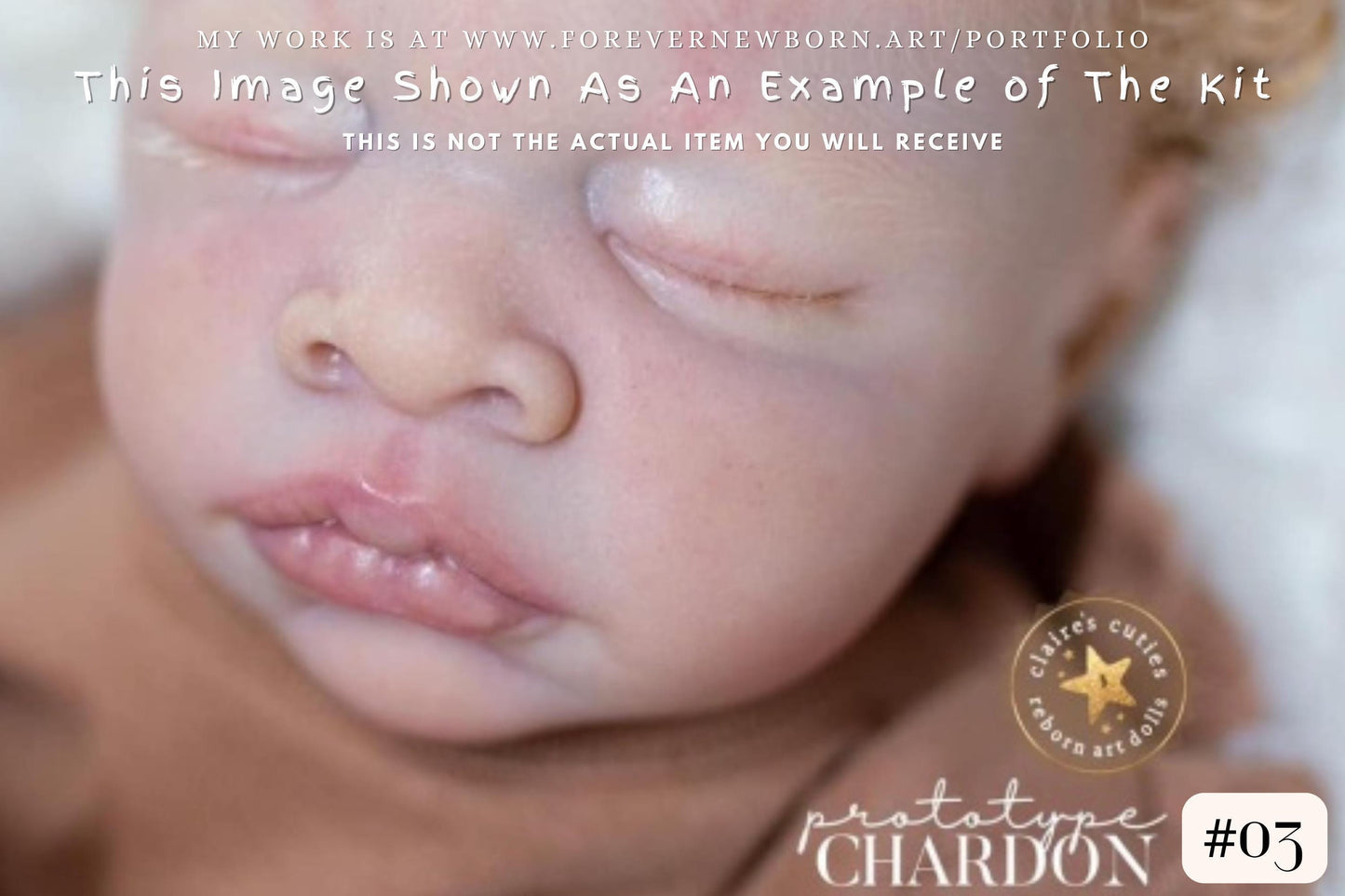 Reborn Baby **Hyper-Realistic** Reborn Doll Dolls ~ CuStOm ReBoRn Chardon JoyLynn Wong (18"+Full Limbs)