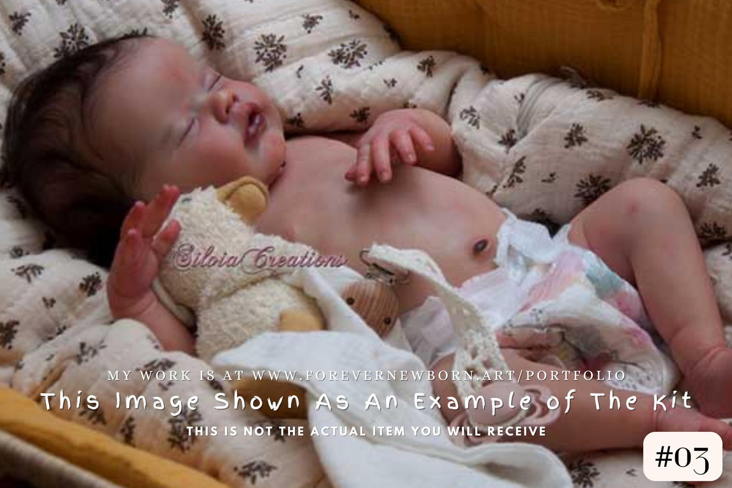Extremely Realistic Reborn Baby Doll ~ CuStOm ReBoRn Primrose asleep by Laura Lee Eagles (18"+Full Limbs)