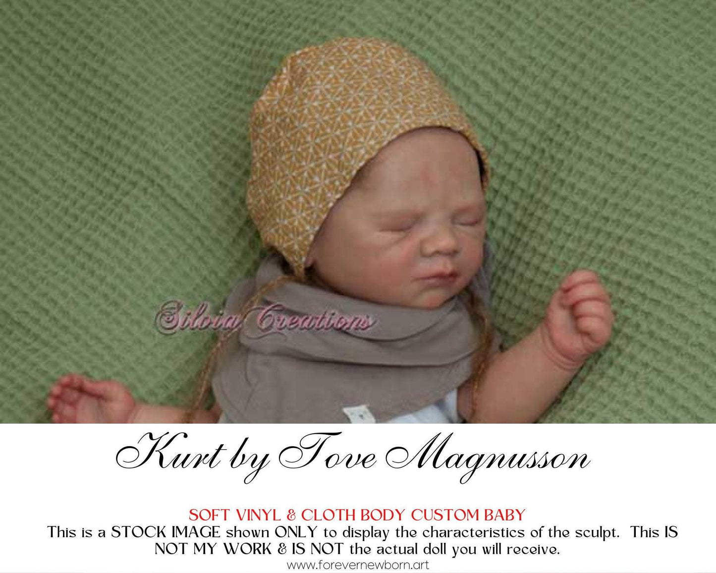Amazing Hyper-Realistic Reborn Custom Doll Kurt by Tove Magnusson (20"+Full Limbs)