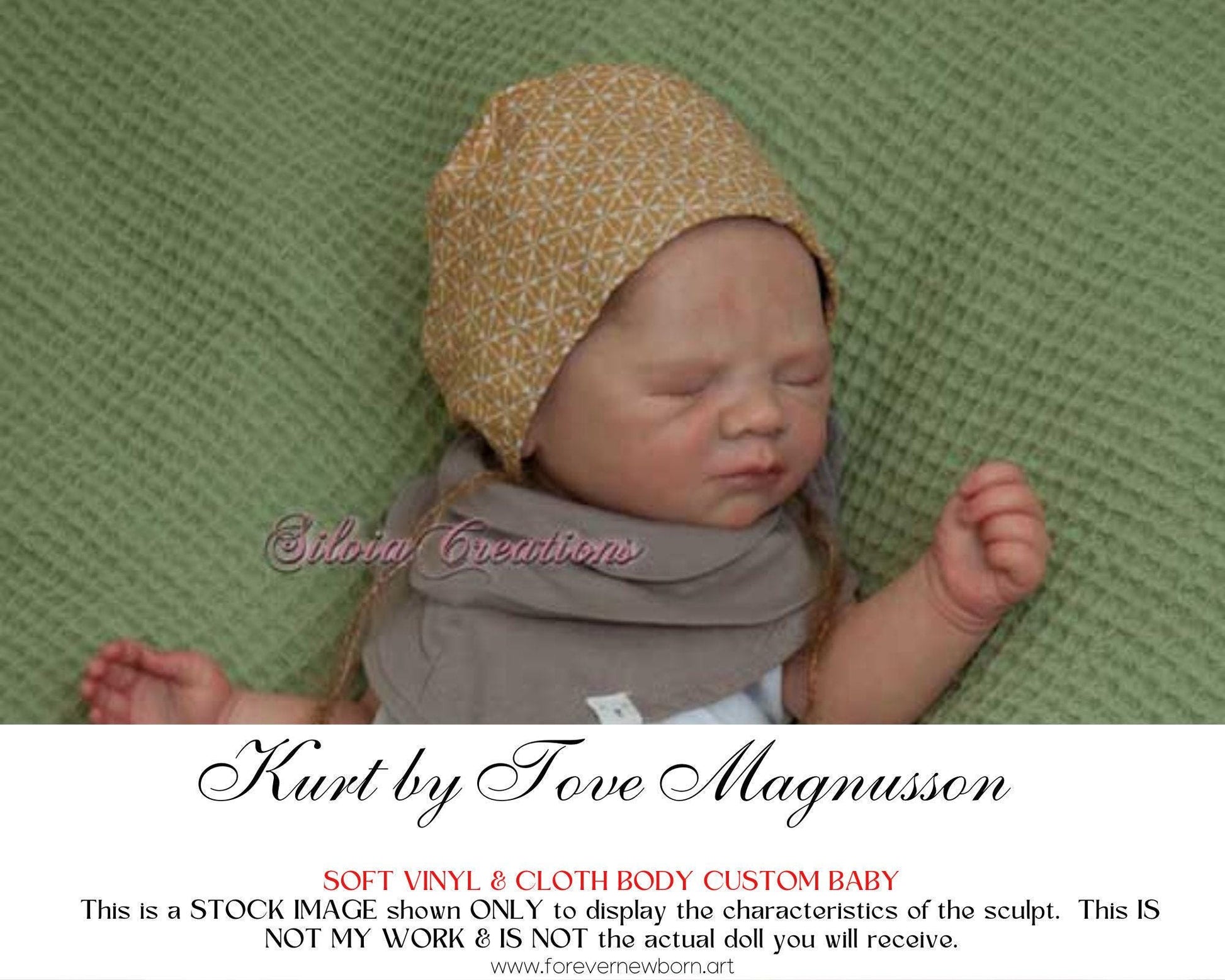 Amazing Hyper-Realistic Reborn Custom Doll Kurt by Tove Magnusson (20"+Full Limbs)
