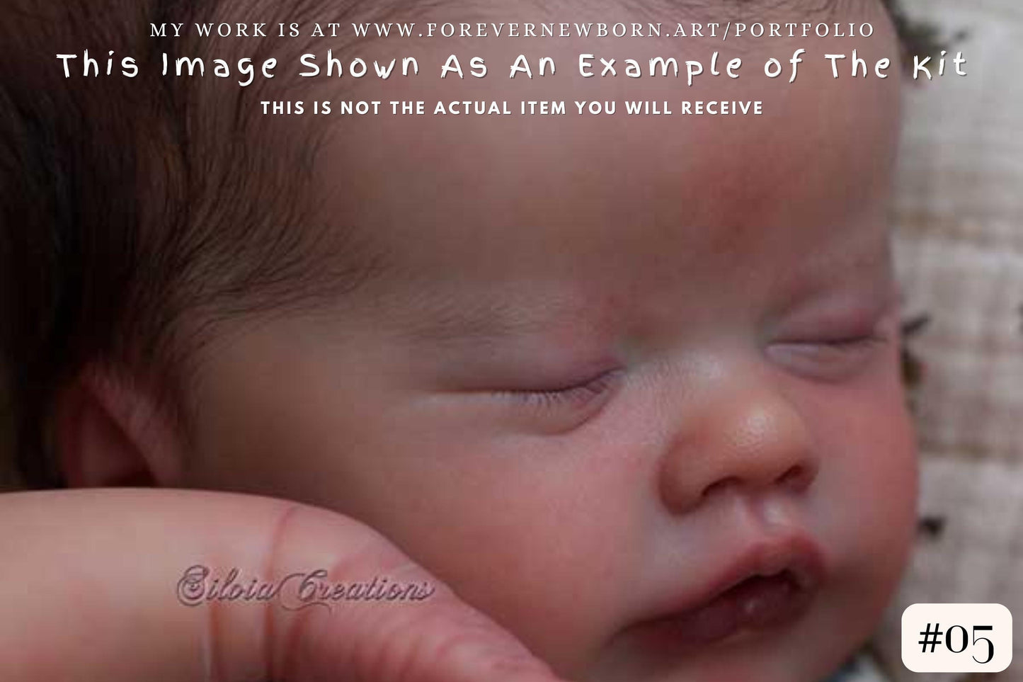 Extremely Realistic Reborn Baby Doll ~ CuStOm ReBoRn Primrose asleep by Laura Lee Eagles (18"+Full Limbs)