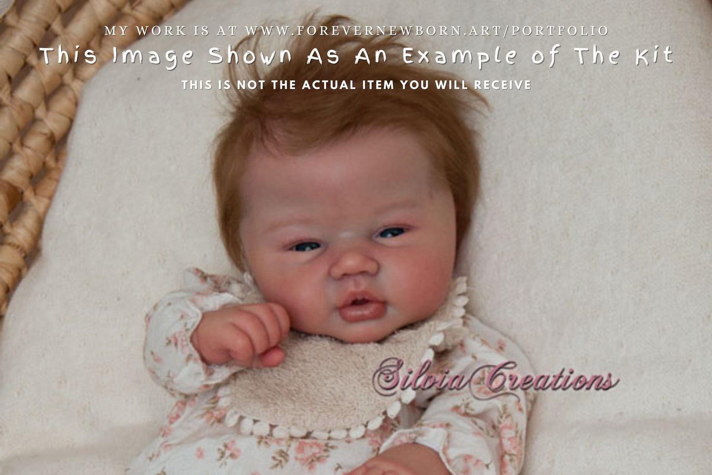 Extremely Realistic Reborn Baby Doll ~ Reborn Baby **Hyper-Realistic** Reborn Doll Emmelyn By Sandy Faber 20" Full Limbs