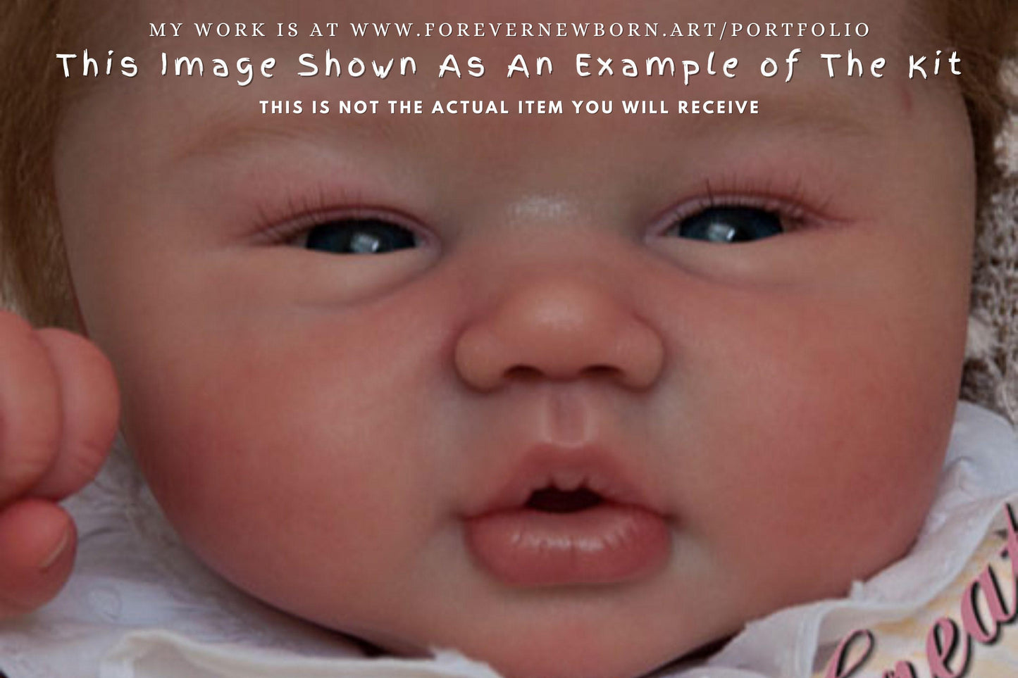 Extremely Realistic Reborn Baby Doll ~ Reborn Baby **Hyper-Realistic** Reborn Doll Emmelyn By Sandy Faber 20" Full Limbs
