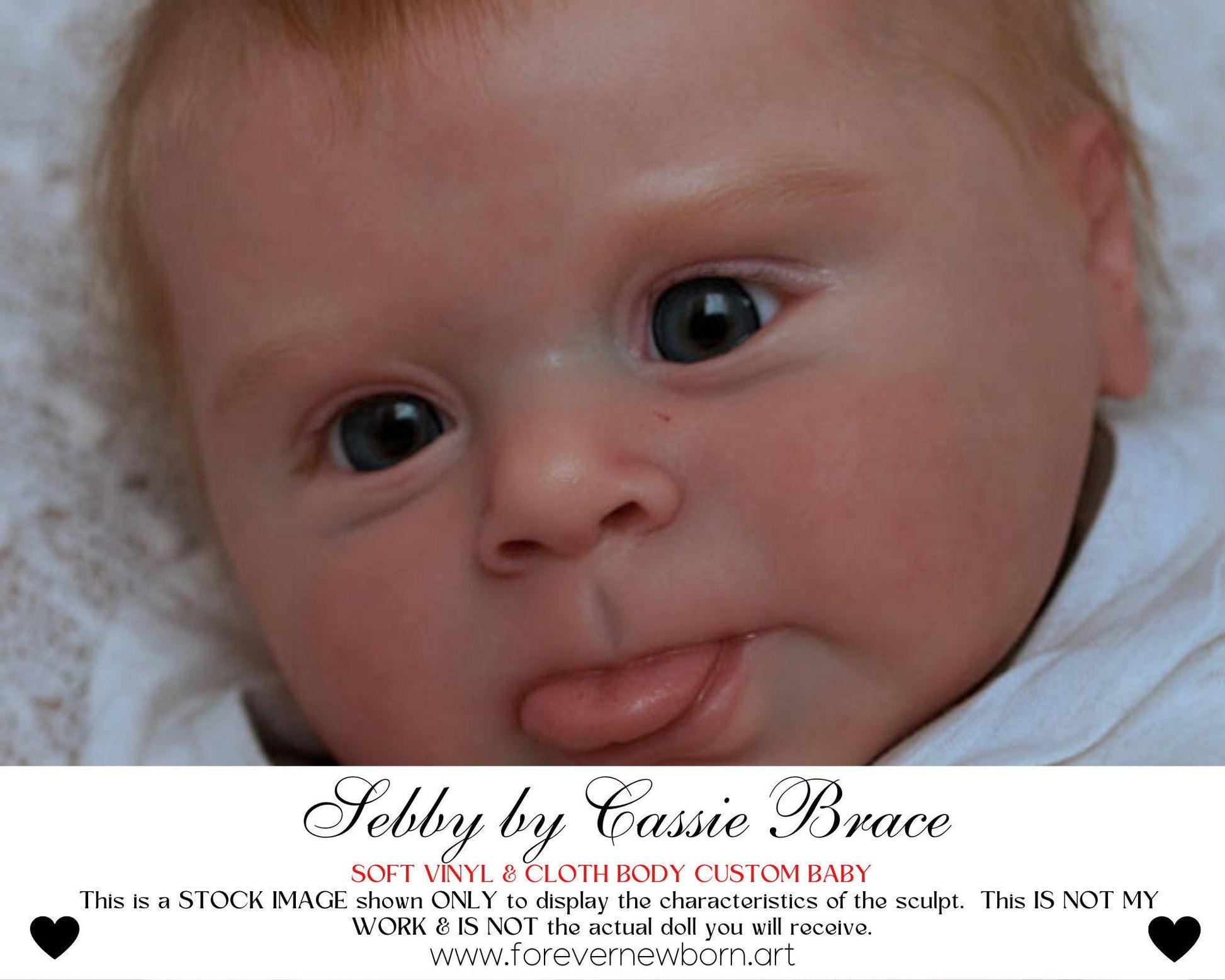 Reborn Baby **Hyper-Realistic** Reborn Doll Sebby by Cassie Brace (20"+ Full Limbs)