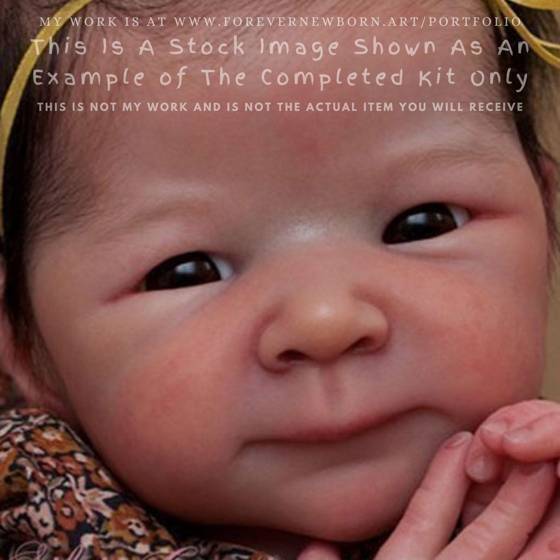 Attention Reborn Baby Collectors ~ Custom Xia by Adrie Stoete (20"+Full Limbs)