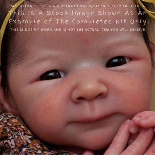 Attention Reborn Baby Collectors ~ Custom Xia by Adrie Stoete (20"+Full Limbs)