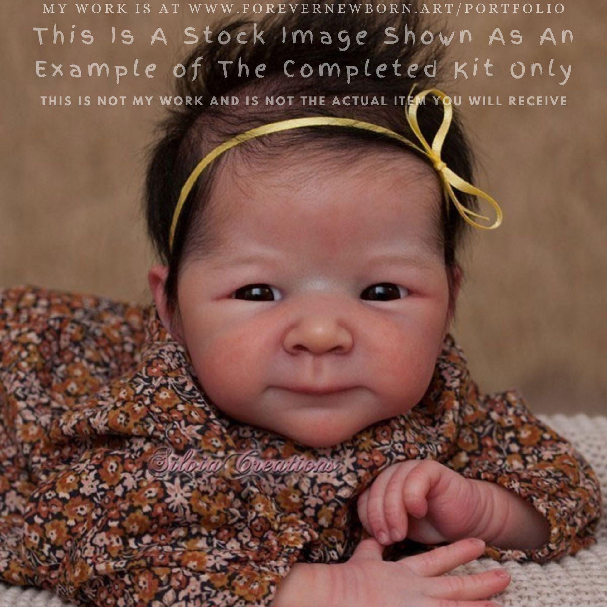 Attention Reborn Baby Collectors ~ Custom Xia by Adrie Stoete (20"+Full Limbs)