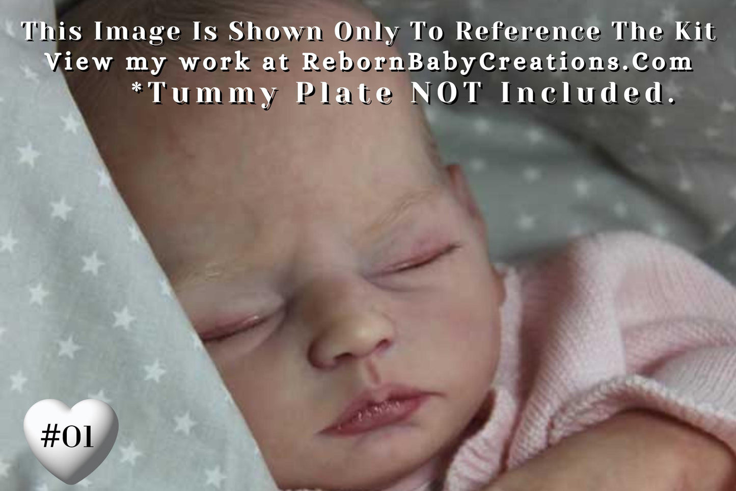 Amazing Hyper-Realistic Reborn Custom Doll Lark by Mayra Garza (19"+ Full Limbs)